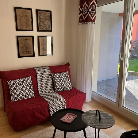 Le Gite De Marc - Parking Prive Gratuit + Terrasse Colmar Extérieur photo